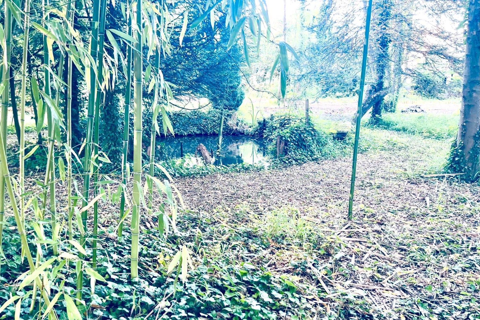 Villa Edouard - 180M2 In Nature & Forest - 20Min Disney - 7Min Airport Claye-Souilly Ngoại thất bức ảnh
